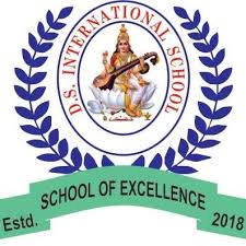D.S. International School Company logo